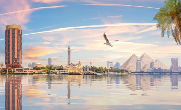 ThruHQ: 80% of Egypt’s B2B startups are ‘digital ghosts’