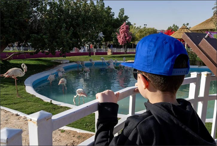 Riyadh Zoo Offers Safe, Child-Focused Environments and Experiences at Riyadh Season 2025 Riyadh Zoo Offers Safe, Child-Focused Environments and Experiences at Riyadh Season 2025 - riyadh offers