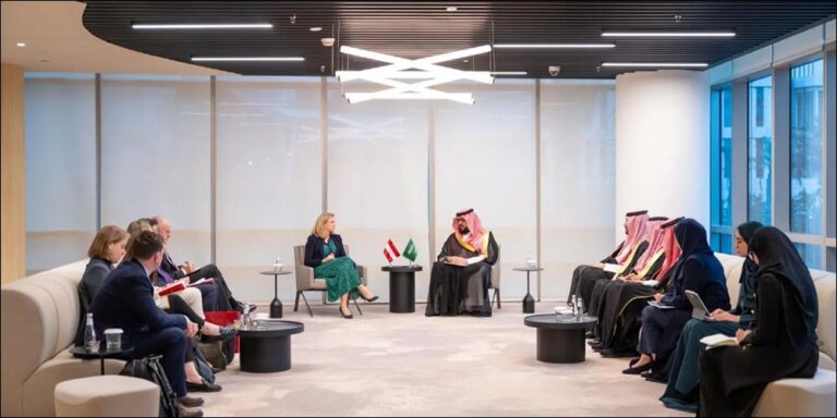 Minister of Economy and Planning Meets Austrian Foreign Minister - minister economy