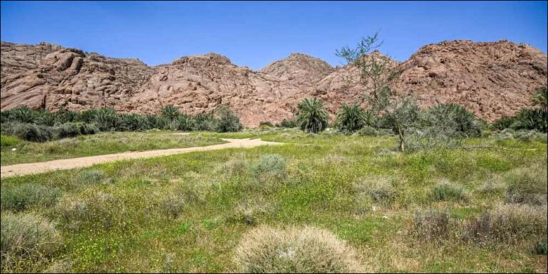 Greenery and Water Revitalize Hail’s Natural Landscape Greenery and Water Revitalize Hail's Natural Landscape - greenery water