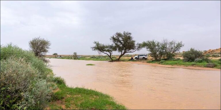Rainfall Paints Scenic Rural Landscapes in Northeast of Qassim - rainfall paints