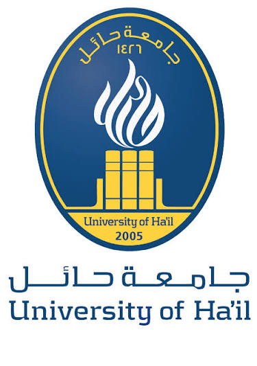 University of Hail Wins First Place in Undergraduate Paper Competition in Spain